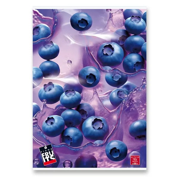 Školní sešit Pigna Fruits - A4, 42 listů, linkovaný, mix motivů