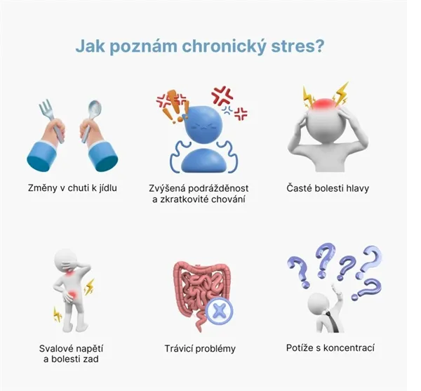 BrainMax Cortisol Stress Support, komplex pro zvládání stresu, 60 rostlinných kapslí