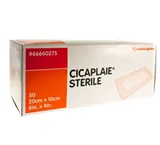 Cicaplaie  20 x 10 cm 