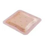 Allevyn Ag Adhesive 10 cm x 10 cm