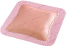 Allevyn Ag Gentle Border 7,5 cm x 7,5 cm