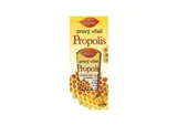 Pravý včelí Propolis 82 ml