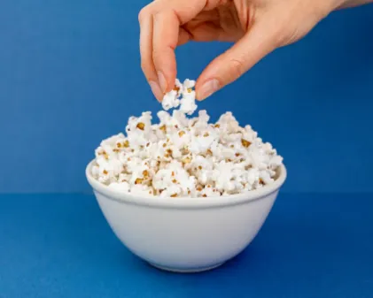 Vilgain Kukuřice na popcorn BIO 350g