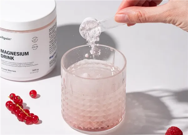 Vilgain Magnesium Drink 325g