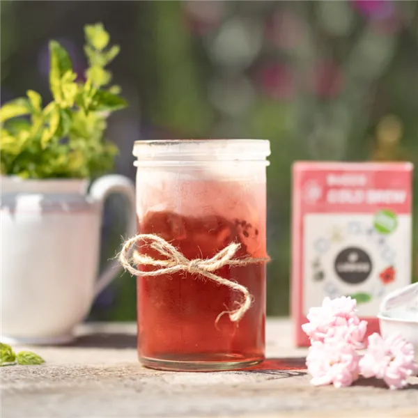 Leros Bucco Cold brew 20ks, nálevových sáčků