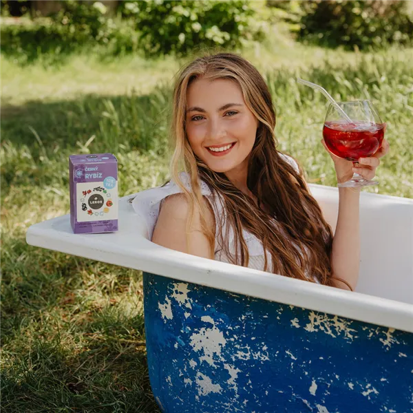 Leros Čajový dýchánek Černý rybíz Ice tea 20ks, nálevových sáčků