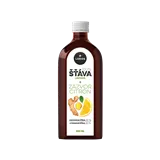 Šťáva Zázvor & Citron 100ml