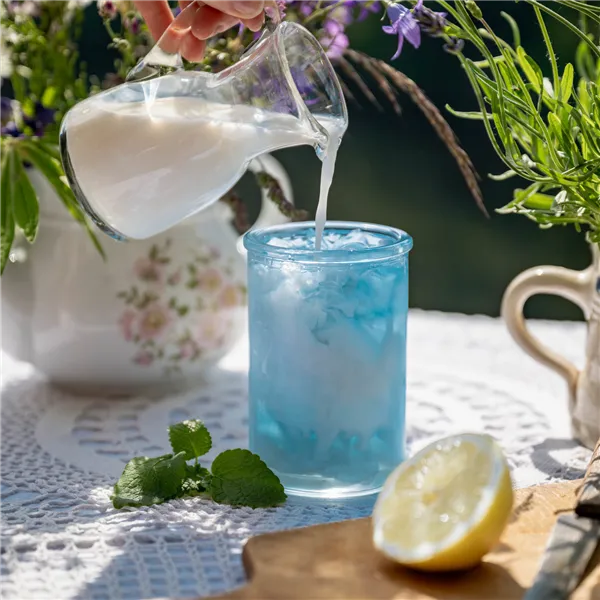 Leros Levadule Cold brew 20ks, nálevových sáčků