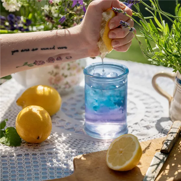 Leros Levadule Cold brew 20ks, nálevových sáčků