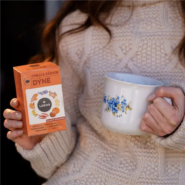 Leros Čajový dýchánek Dýně, Chilli & Zázvor 20ks nálevových sáčků