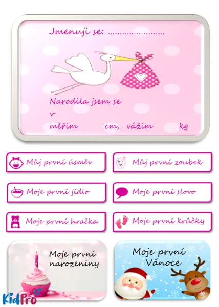 Kniha: Moje první milníky pro holčičky + samolepky