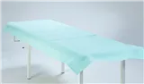 MedixPro®-PF 77x210cm -zelená (prostěradlo)