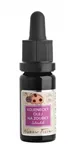 Kojenecký olej na zoubky Jakoubek 10 ml